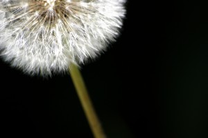 visualpanic_2608937632