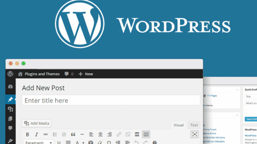 Cara Membuat Blog Di WordPress Untuk Pemula